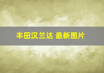 丰田汉兰达 最新图片